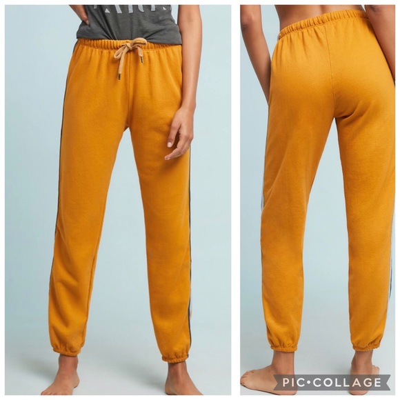 Sundry Pants - CLOSEOUT \Sundry\• Golden Striped Sweatpants